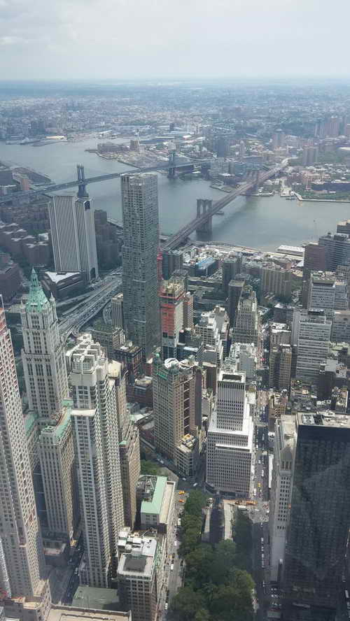 NYC_2015-06-17 13-18-57_CELL_20150617_131857